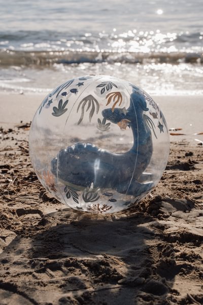 3D Pludmales bumba Ocean World Blue, Beach Ball, Little Dutch, ld2016389, rocketbaby.lv