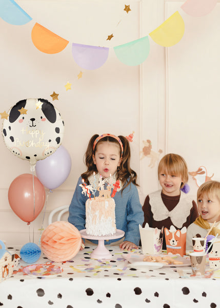 Apaļš folija balons Suns, Happy Birthday - pildīts ar hēliju, 35cm, FB348
