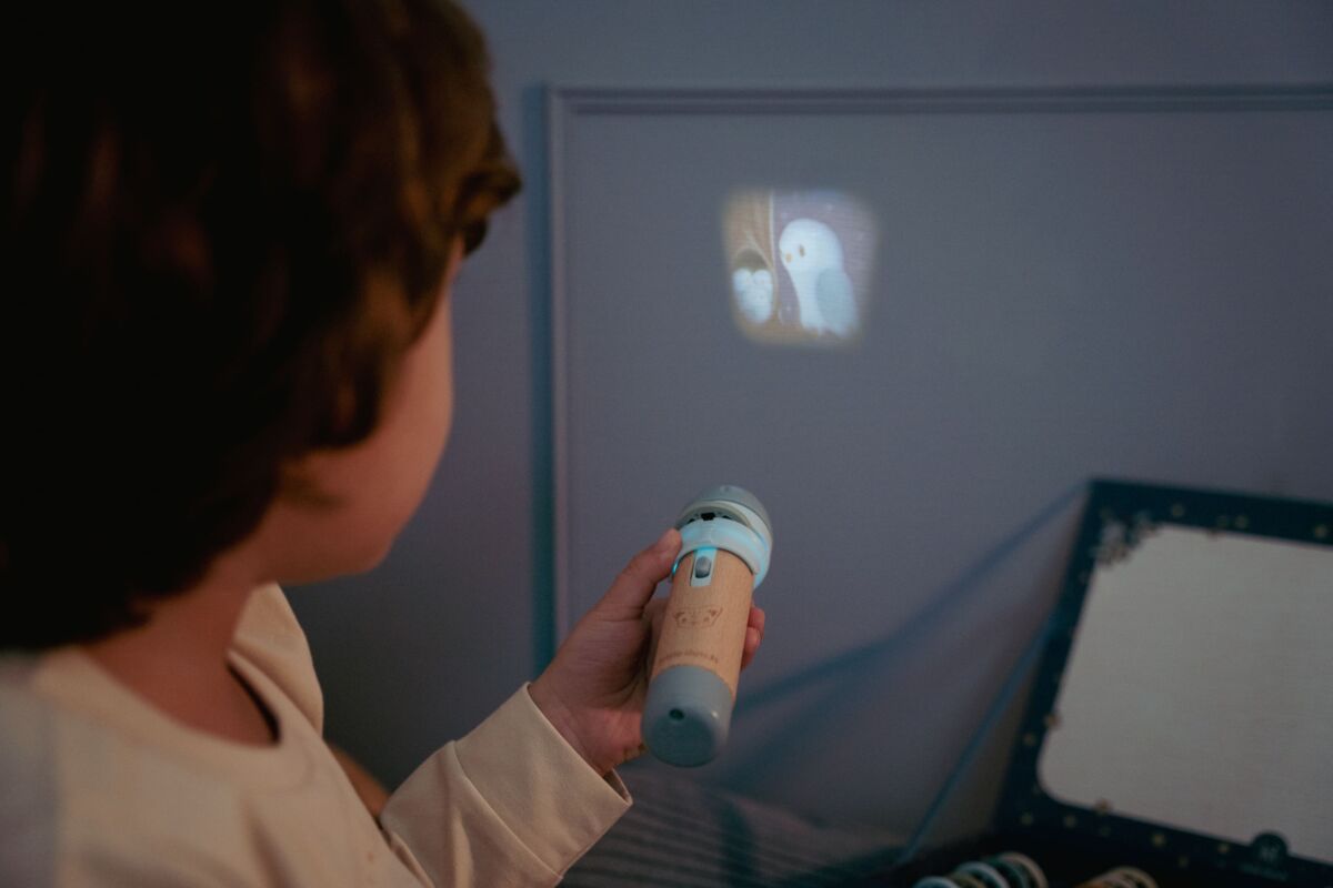 Bērnu projektors Forest Friends, Stories Projector Torch, Little Dutch, LD4781