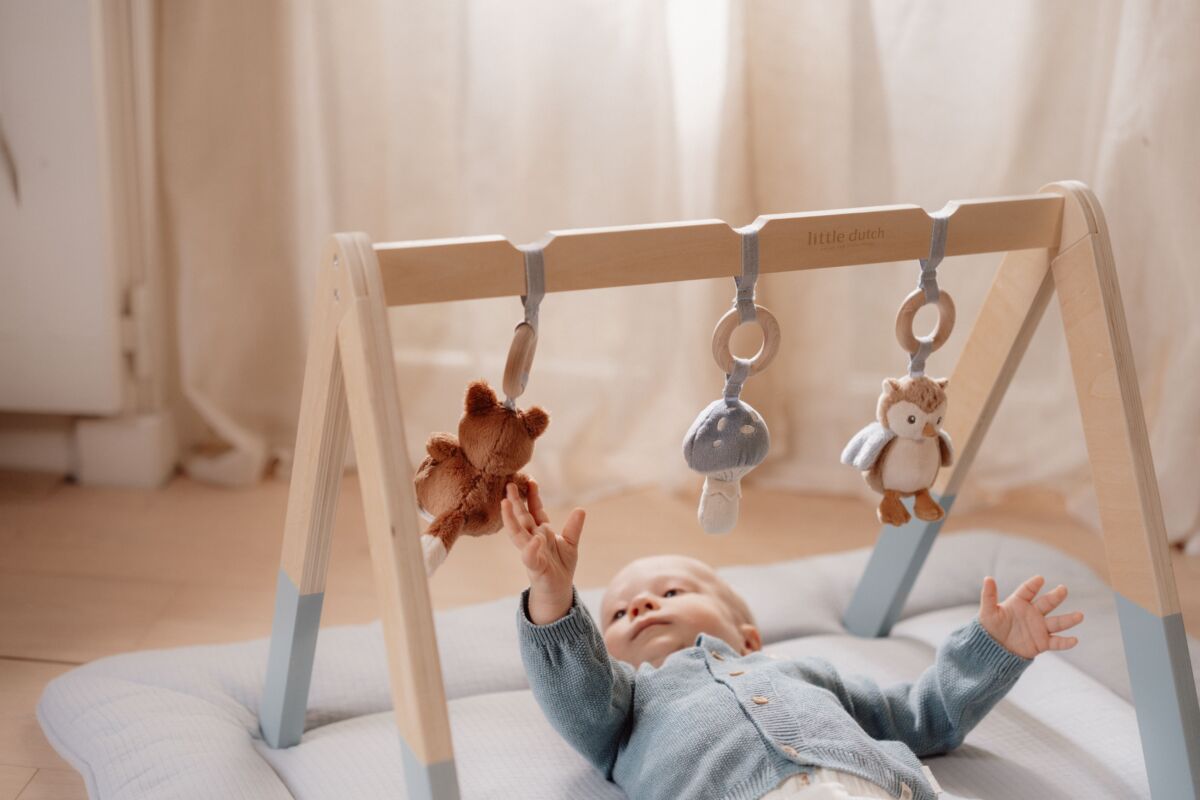 Aktivitāšu statīvs, Baby Gym Forest Friends, Little Dutch, LD8910