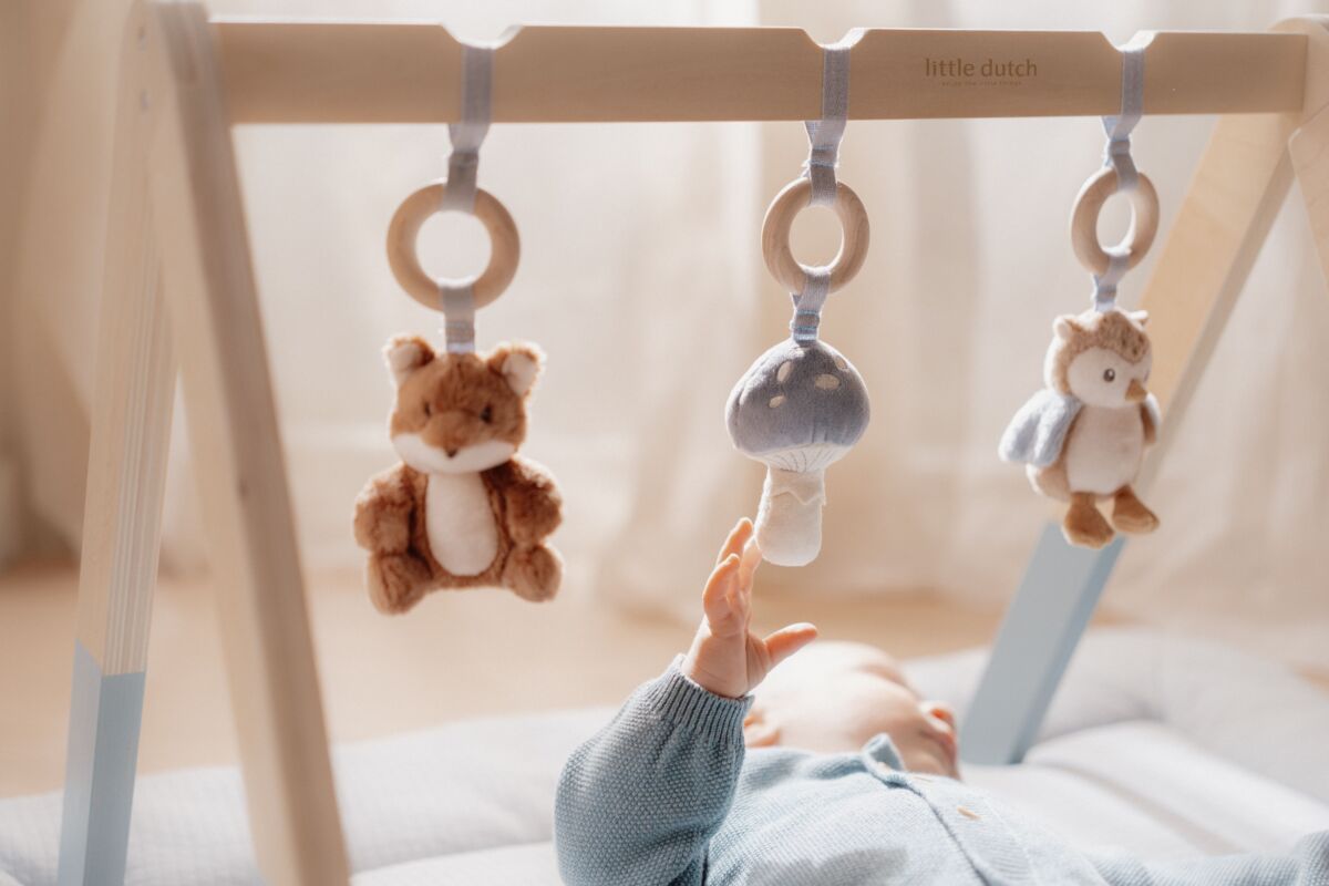 Aktivitāšu statīvs, Baby Gym Forest Friends, Little Dutch, LD8910