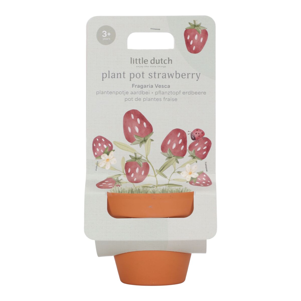 Augu podiņš ar zemeņu sēklām, Plant Pot Strawberry, Little Dutch, LD9131