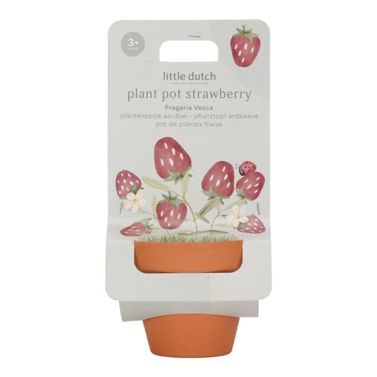 Augu podiņš ar zemeņu sēklām, Plant Pot Strawberry,  Little Dutch, LD9131