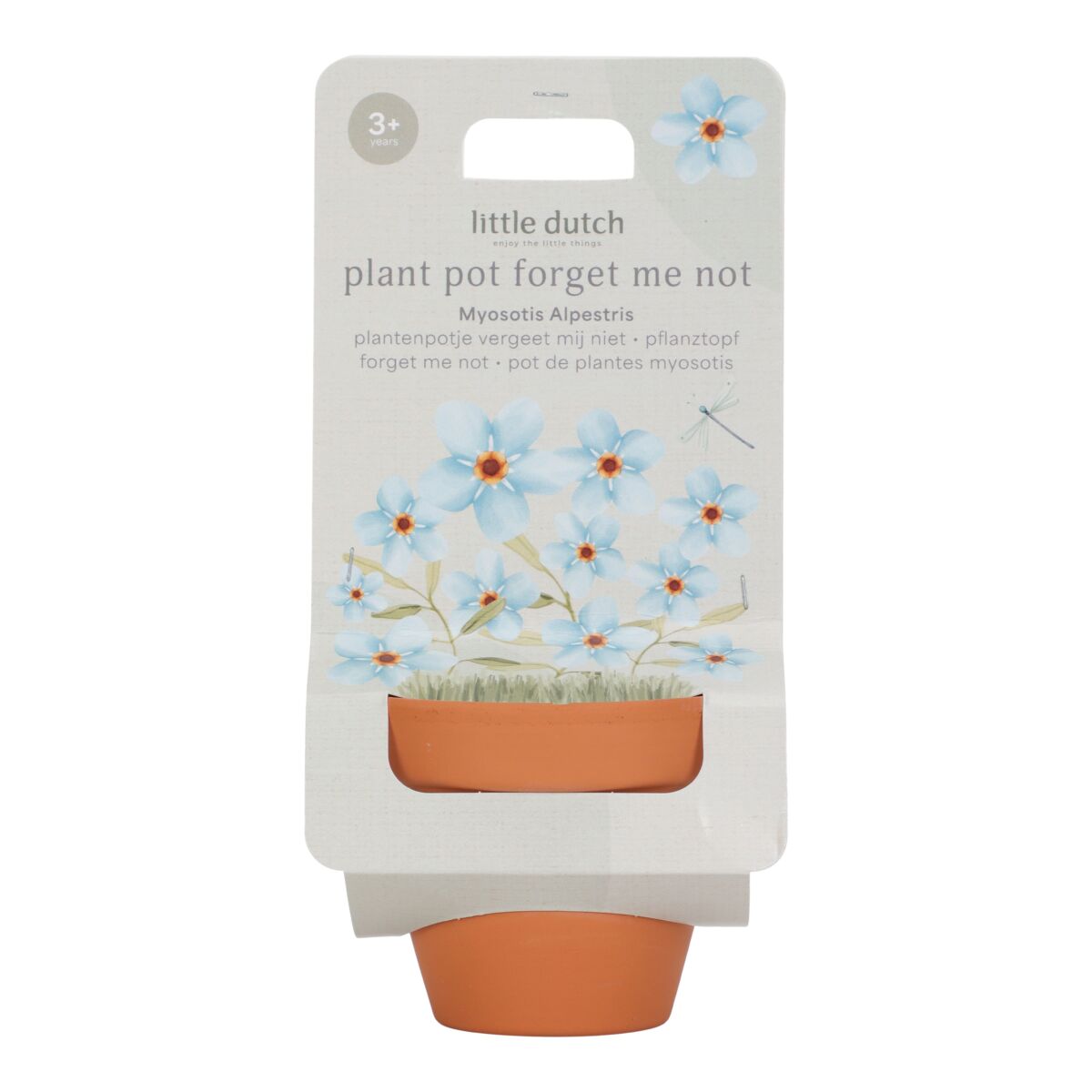 Augu podiņš ar neaizmirstulītes sēklām, Plant Pot, Forget Me Not, Little Dutch, LD9132