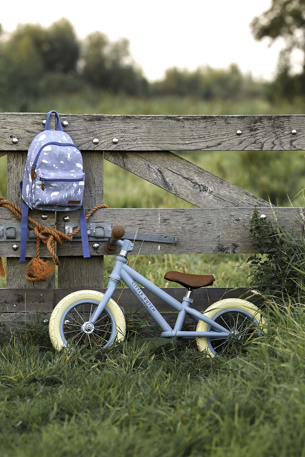 Little Dutch zils līdzsvara bērnu skrejritenis, Balance Bike Matt Blue, 8001