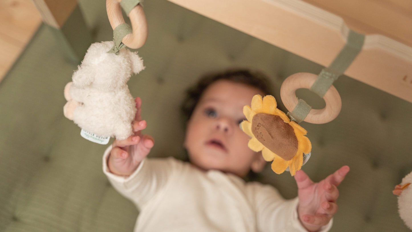 Aktyvumo stovas, Baby Gym Little Farm, Little Dutch