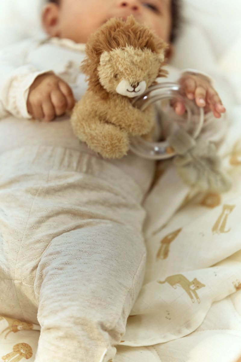 Graužamais grabulis Lauva - Lion, Safari Friends, Ring Rattle, Little Dutch, Artikuls: 8314