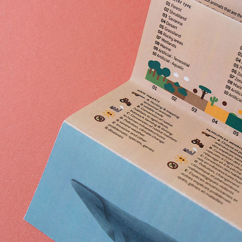 Puzle Life ar aizsargājamiem dzīvniekiem, Londji, PZ604U