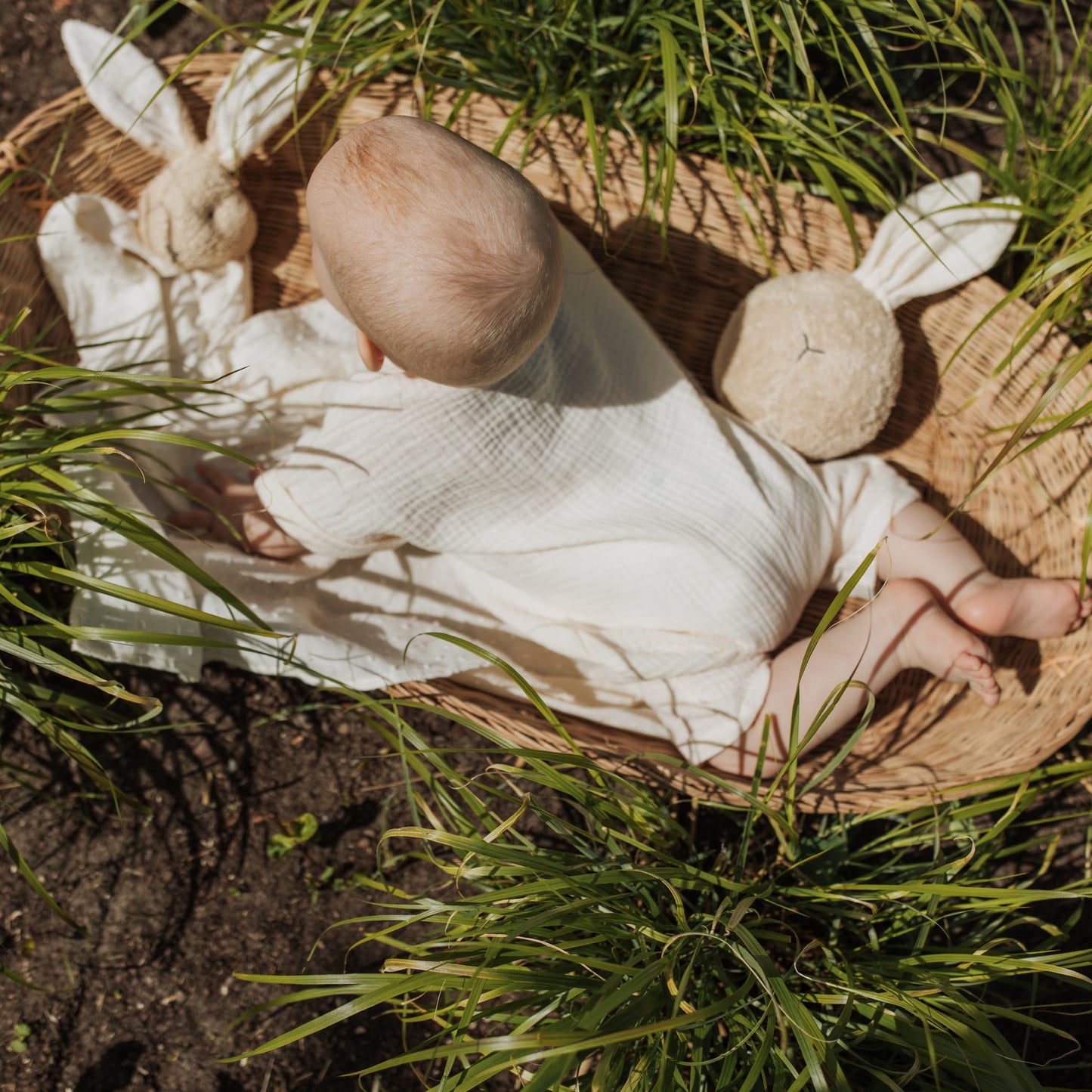 Bumba ar čaukstošām ausīm, Soft Ball Crinkle Ears, Wooly Organic, T-913-B-138