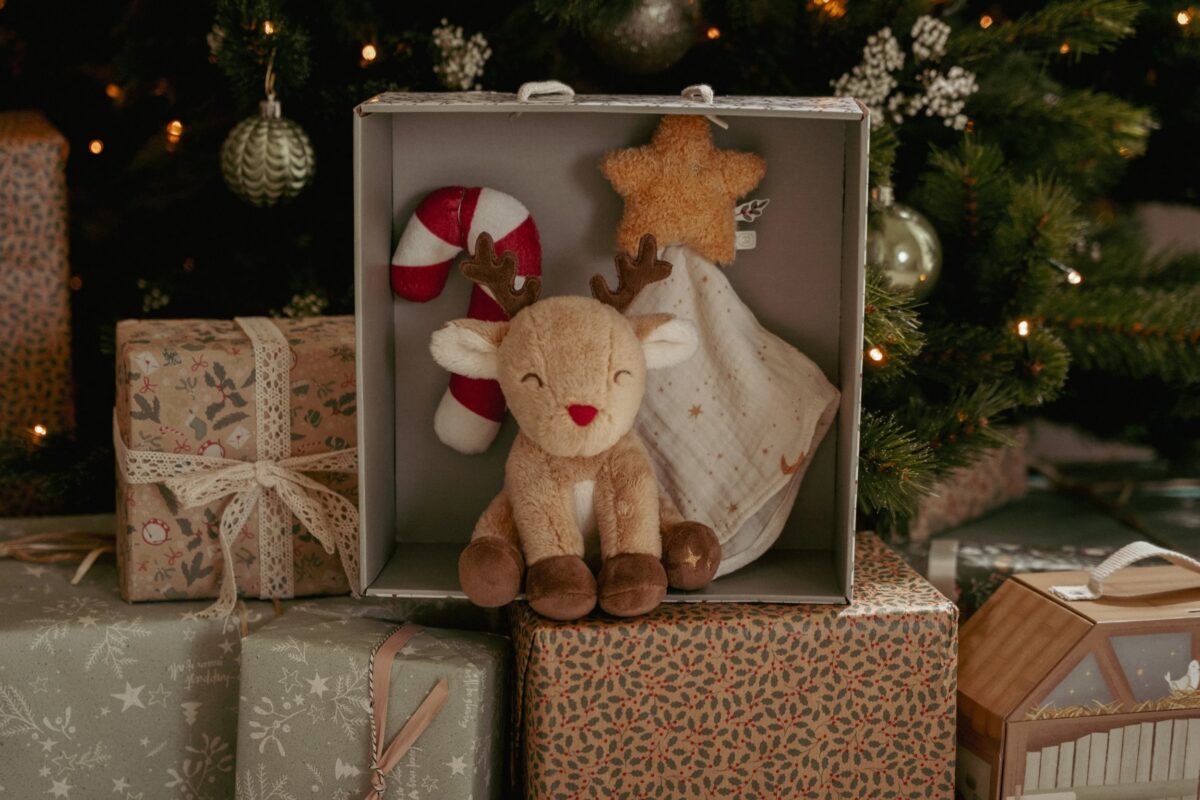 Ziemassvētku raudzību dāvanu komplekts jaundzimušajam, Newborn Giftbox Christmas, Little Dutch, ld4878