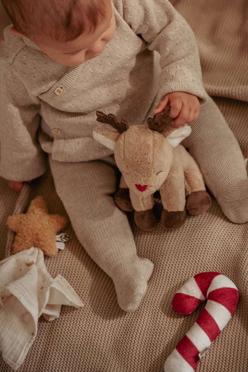 Ziemassvētku raudzību dāvanu komplekts jaundzimušajam, Newborn Giftbox Christmas, Little Dutch, ld4878
