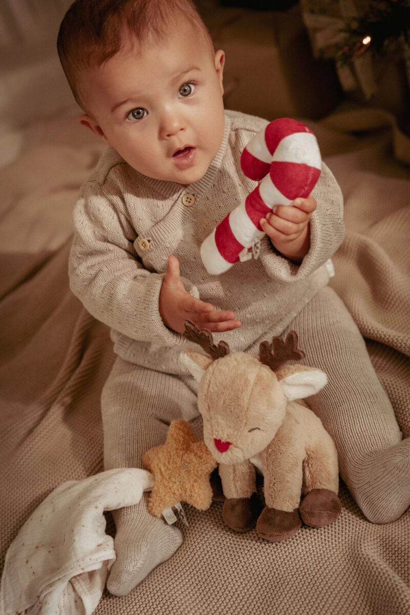 Ziemassvētku raudzību dāvanu komplekts jaundzimušajam, Newborn Giftbox Christmas, Little Dutch, ld4878