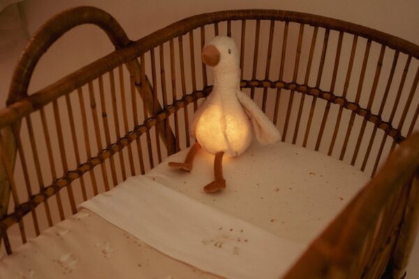 Miega rotaļlieta Cuddle Goose Light & Sound ar gaismu un skaņu, Little Dutch