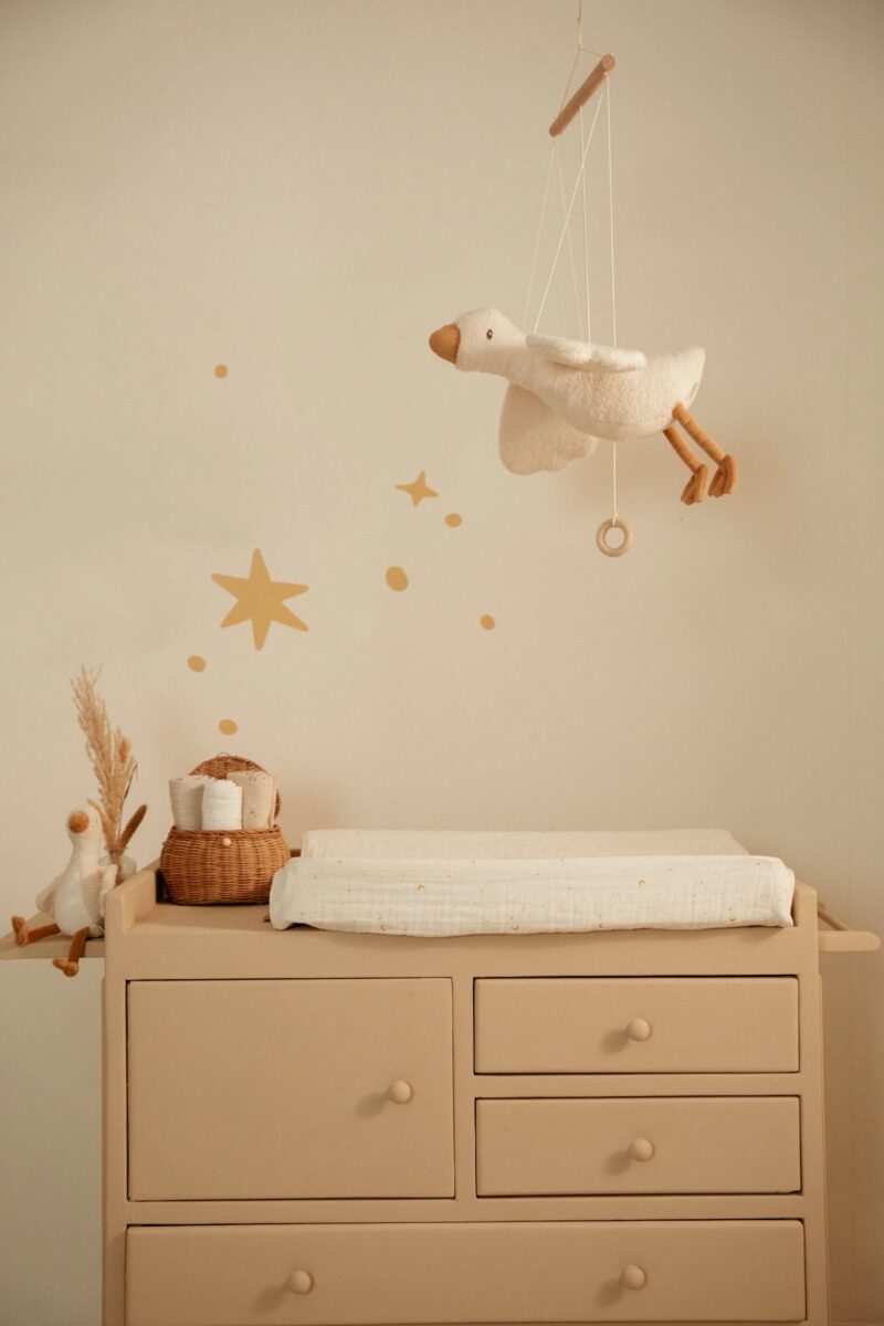 Karināmā mūzikas rotaļlieta Flying Little Goose - Newborn naturals, Little Dutch