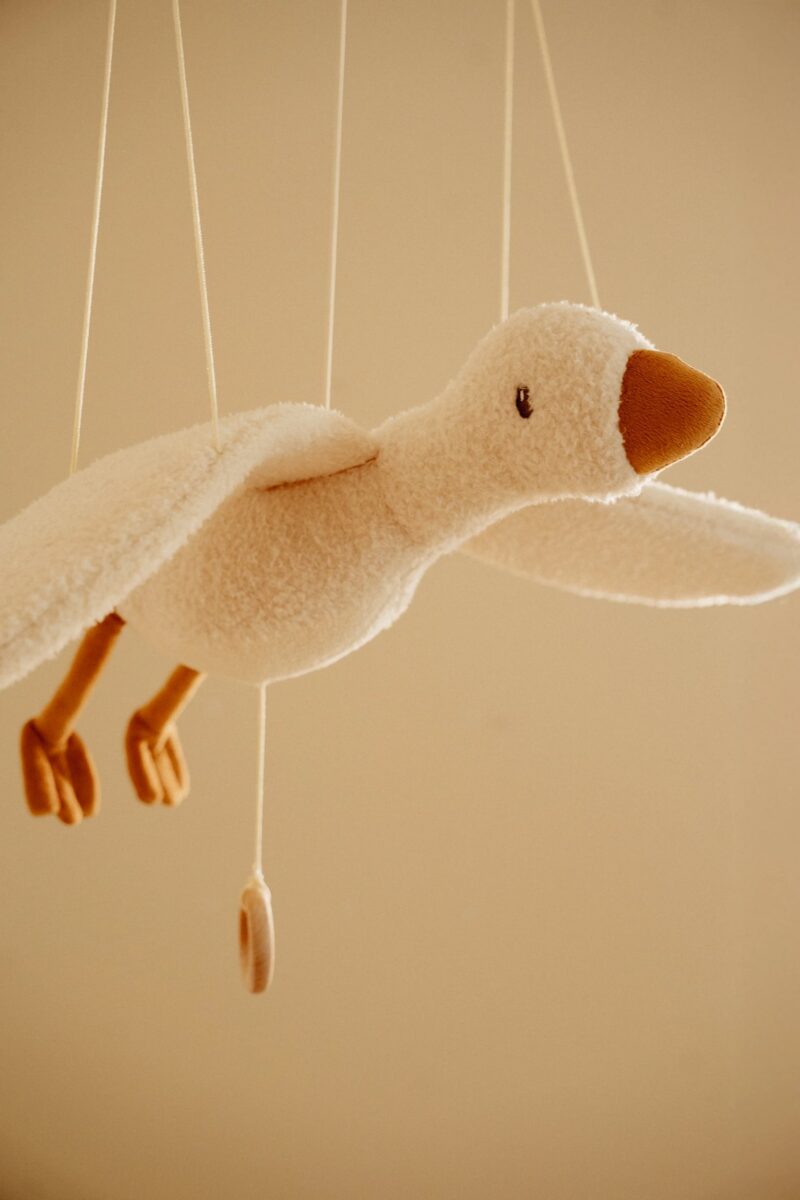 Karināmā mūzikas rotaļlieta Flying Little Goose - Newborn naturals, Little Dutch