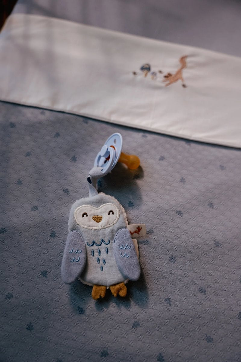 Mīļlupatiņa - knupīša turētājs Owl, Pacifier cloth, Little Dutch, te21225030