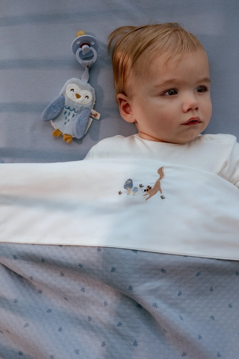 Mīļlupatiņa - knupīša turētājs Owl, Pacifier cloth, Little Dutch, te21225030