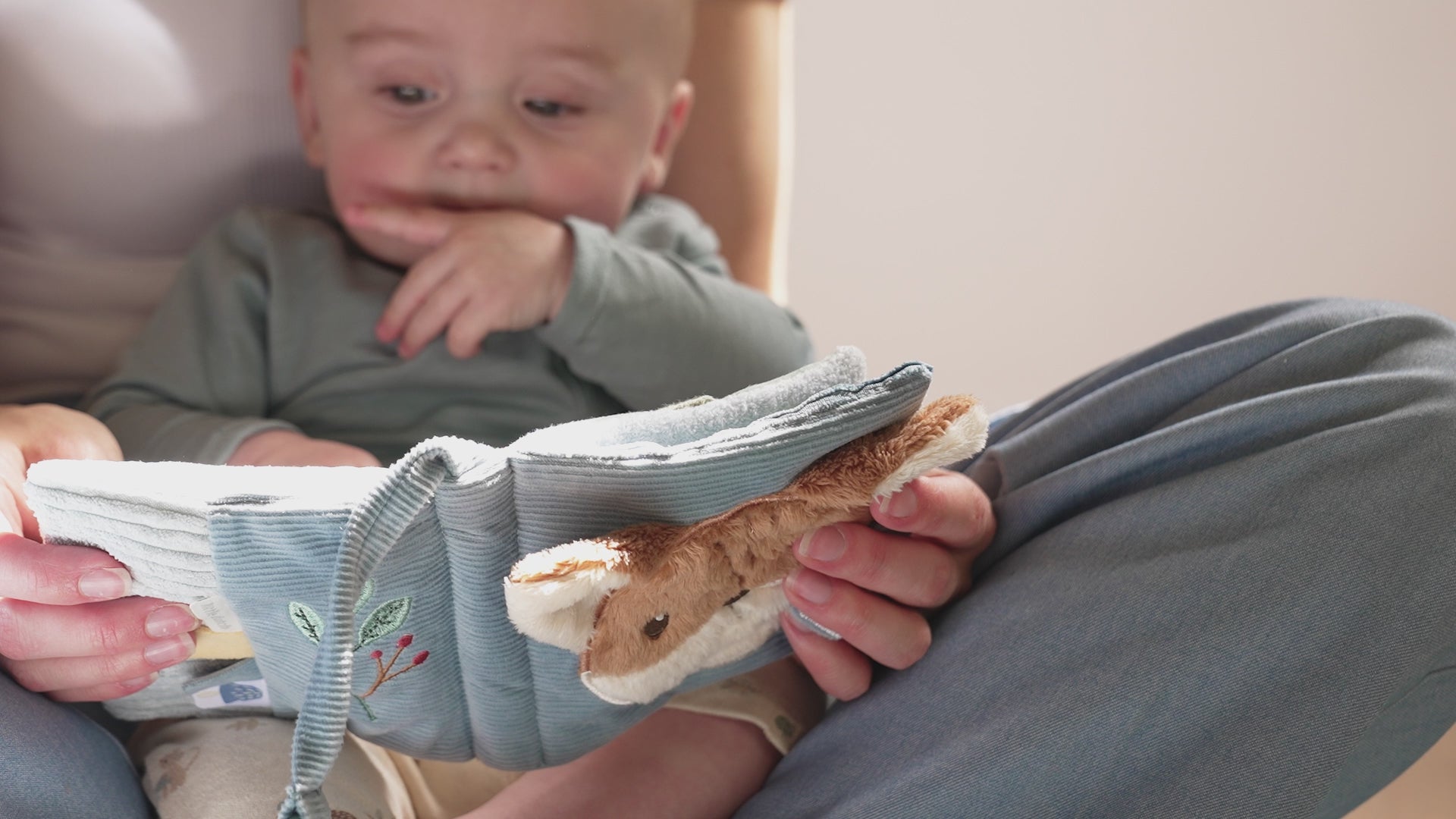 Video - Mīkstā grāmata Forest Friends, Solf Booklet, Little Dutch, LD8919