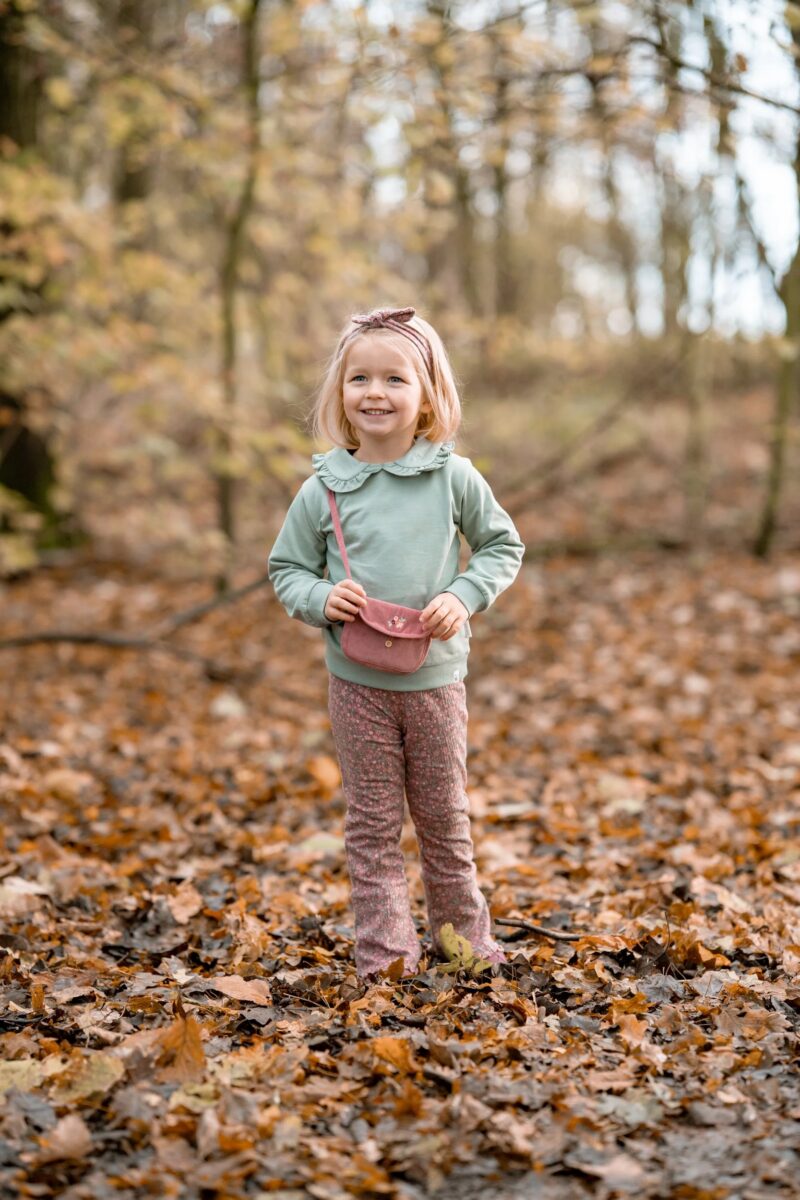 Bērnu rokas somiņa Fairy Garden, Handbag, Little Dutch