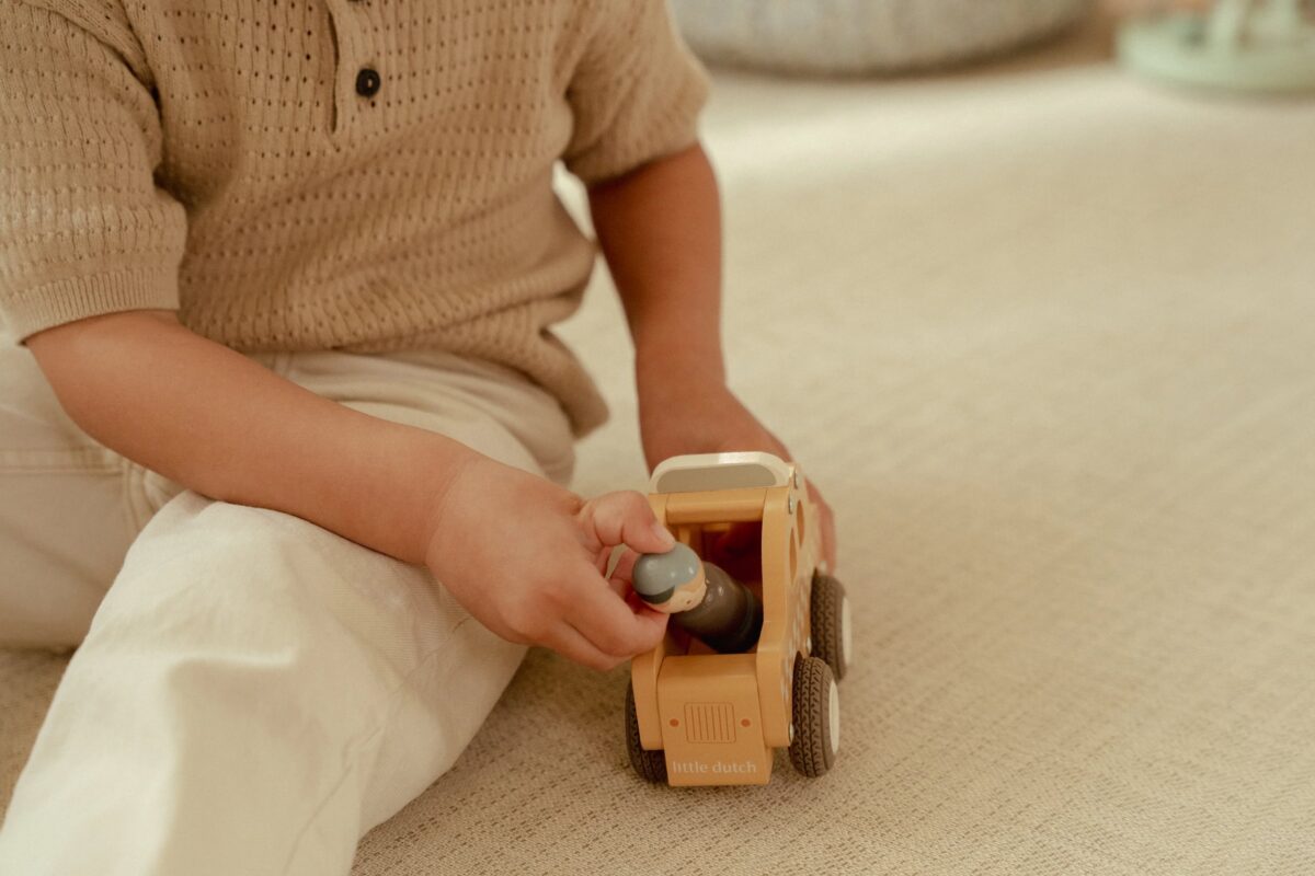 Koka taksis, Wooden Taxi, Little Dutch