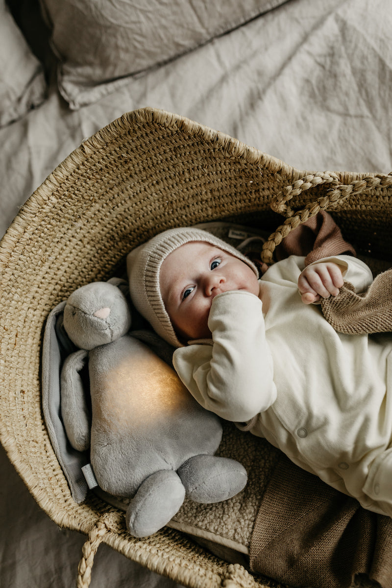 Moonie zaķis Organic Humming Bunny, Silver