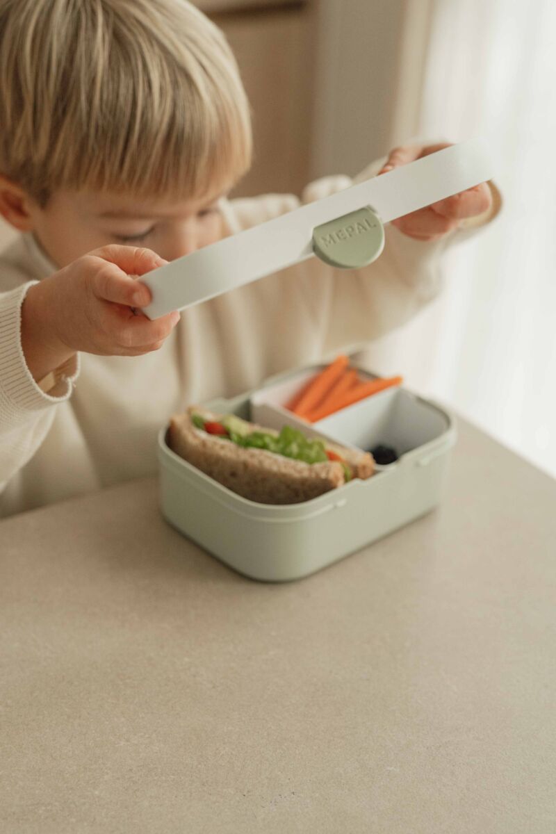 Pusdienu kārba Little Farm, Lunch box, Little Dutch, LD107440065399