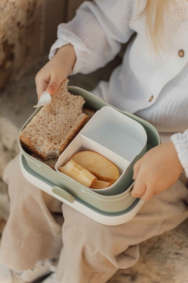 Pusdienu kārba Little Farm, Lunch box, Little Dutch, LD107440065399