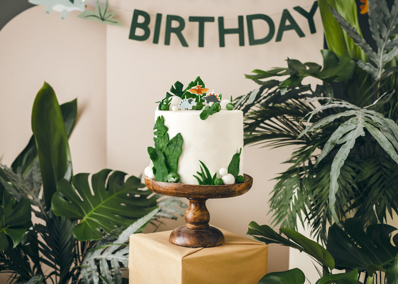 Dzimšanas dienas kūkas svecītes - Dinozauri, Birthday Cake Candles, Dinosaurs