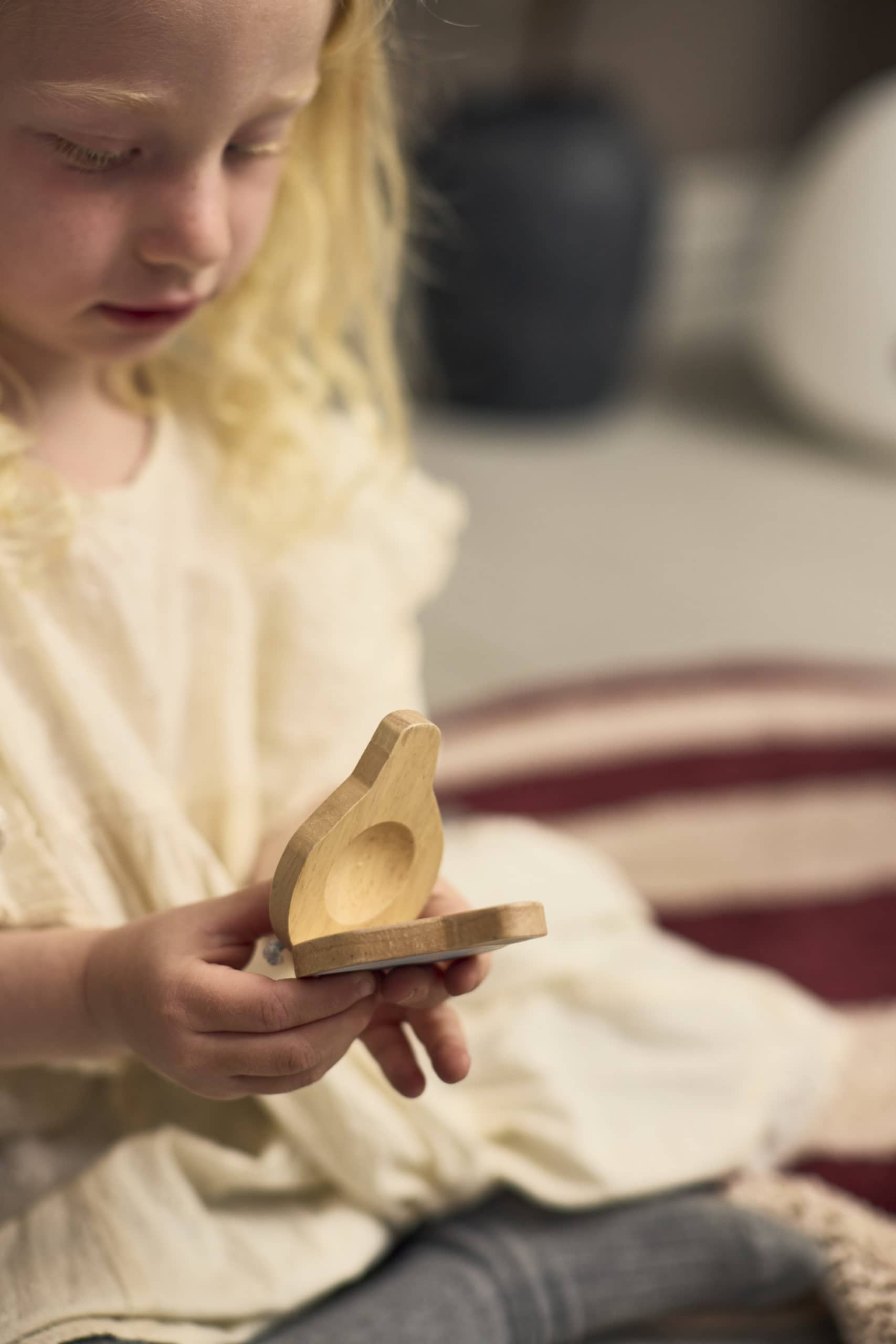 Koka mūzikas instrumentu koferītis, My first wooden toy instruments, Filibabba, FI-03823