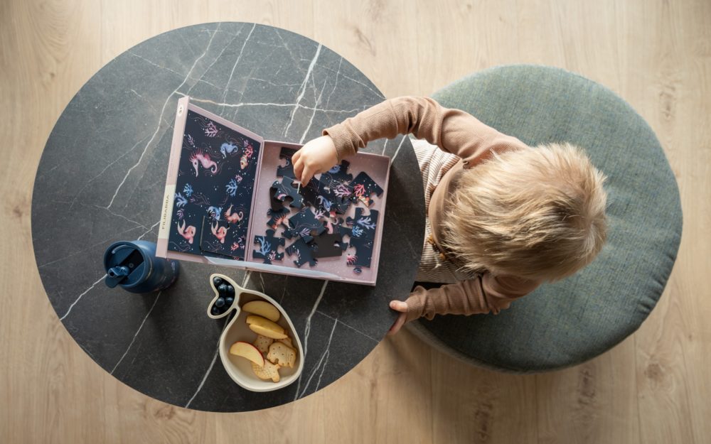 Magnētiskā puzle Jūraszirdziņi, Magnetic Game Seahorse Puzzle, Filibabba, FI-03042