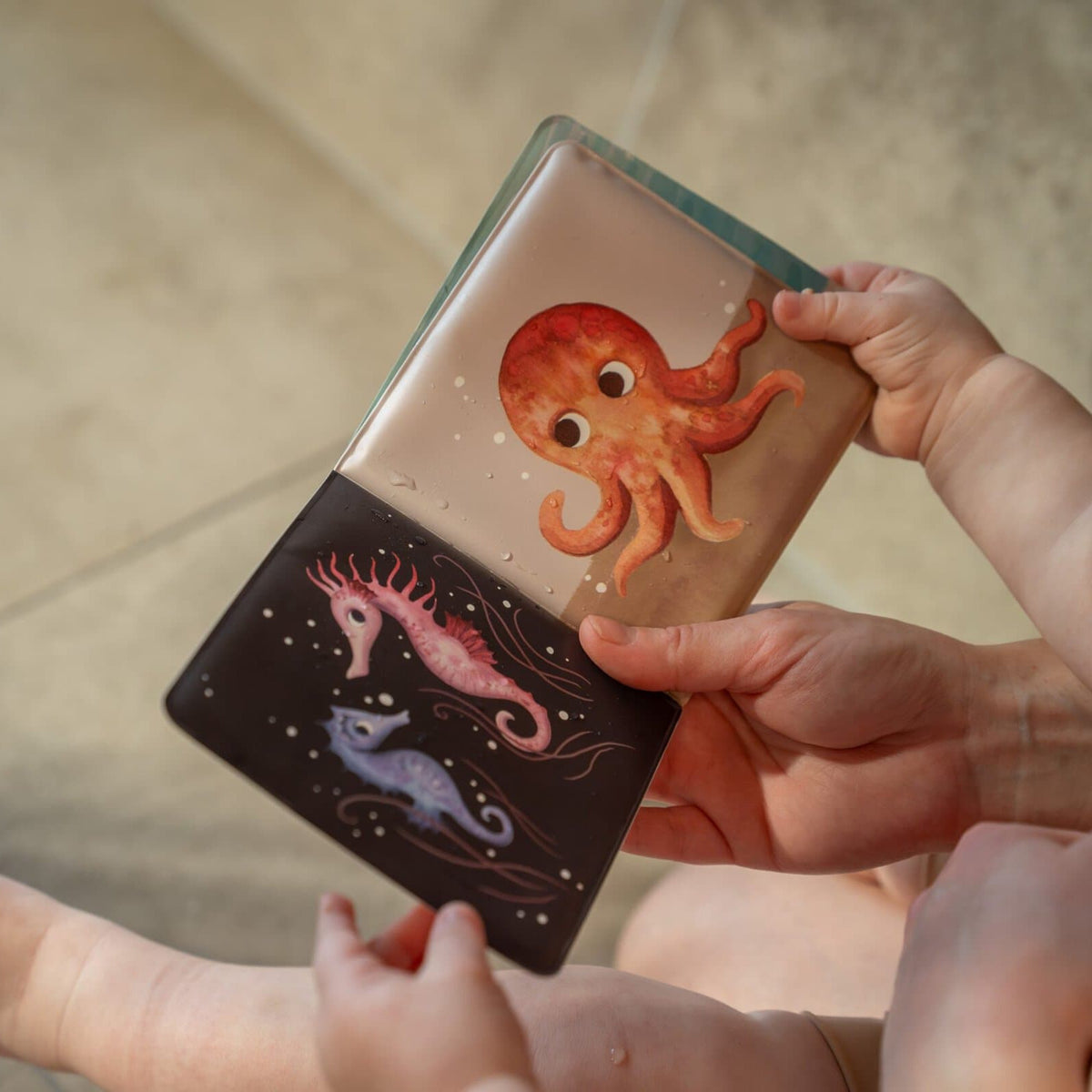 Vannas grāmata Turtle, Bath Book, Filibabba