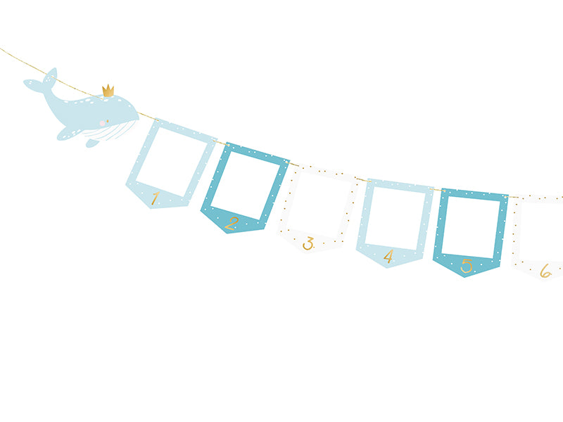 Foto rāmīšu virtene Valis, Photo Frame Garland Whale, 2.5m, GNZ1