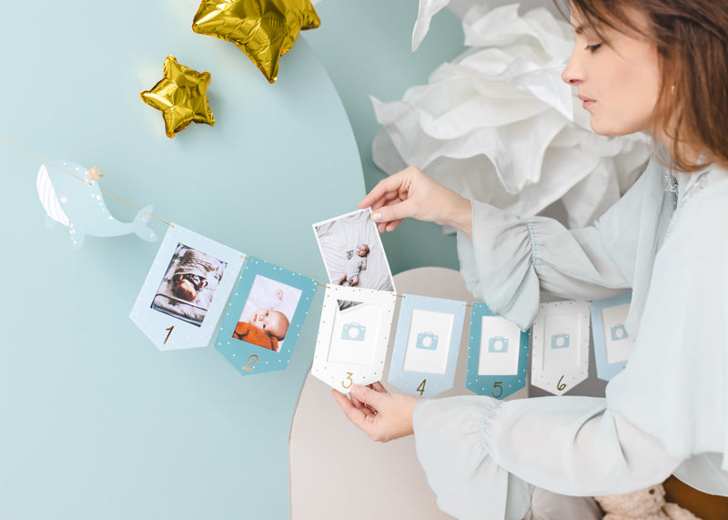 Foto rāmīšu virtene Valis, Photo Frame Garland Whale, 2.5m, GNZ1