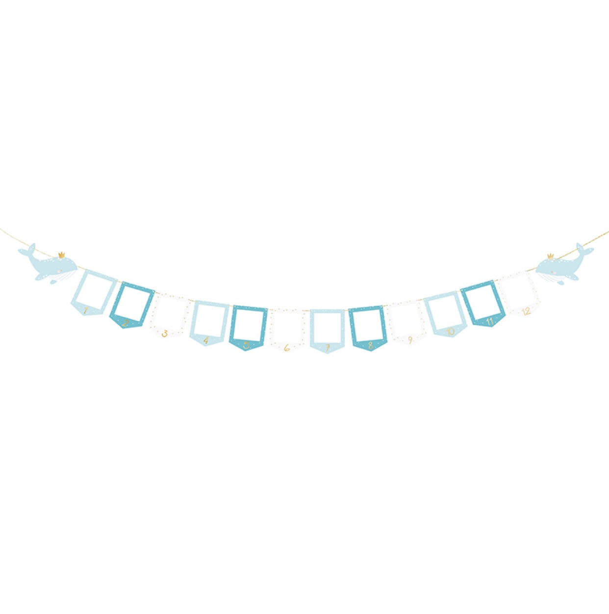 Foto rāmīšu virtene Valis, Photo Frame Garland Whale, 2.5m, GNZ1