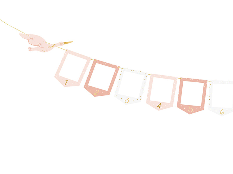 Foto rāmīšu virtene Stārķis, Photo Frame Garland Stork, 2.5m, GNZ2