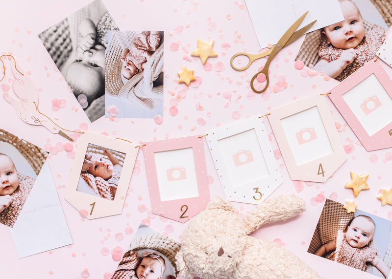 Foto rāmīšu virtene Stārķis, Photo Frame Garland Stork, 2.5m, GNZ2