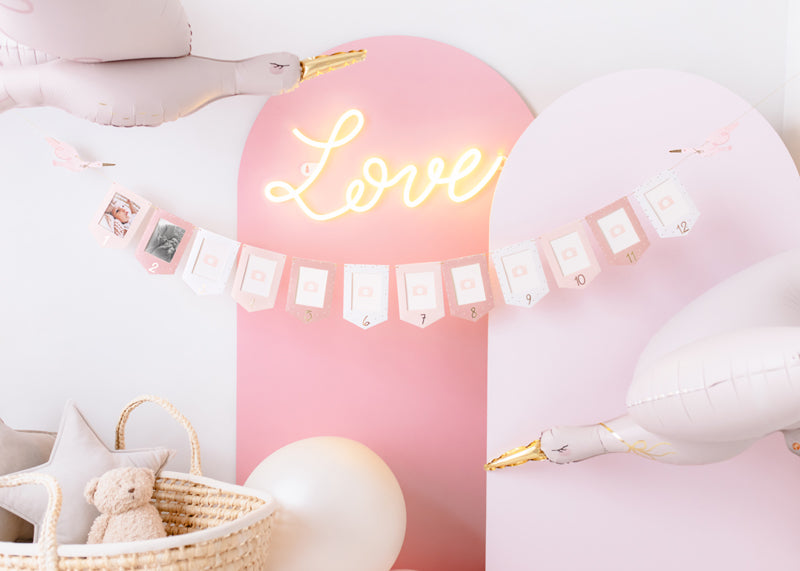 Foto rāmīšu virtene Stārķis, Photo Frame Garland Stork, 2.5m, GNZ2