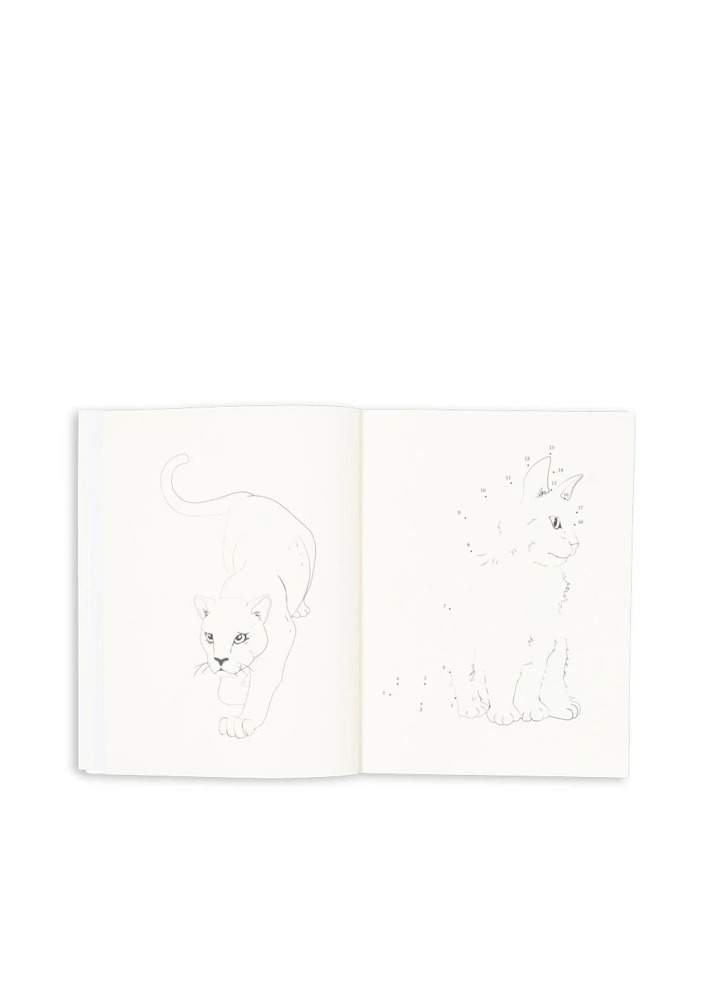 Aktivitāšu grāmata ar krāsojamiem zīmuļiem, Activity Book With Colouring Pencils, Konges Slojd, KS103663