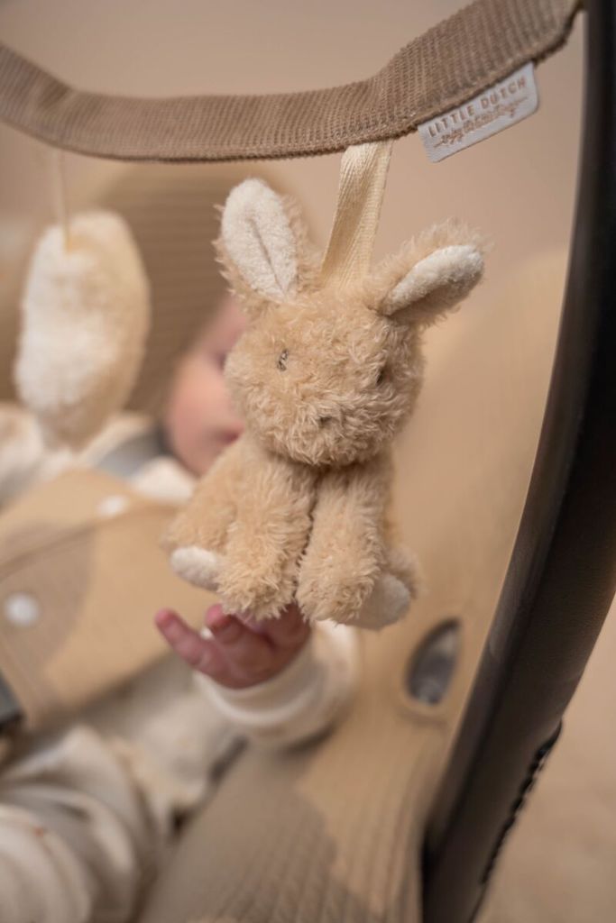 Autokrēsliņa rotaļlieta Baby Bunny, Car Seat Toy, Little Dutch, LD8867