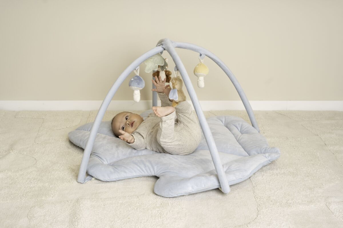 Aktivitāšu paklājiņš, Activity Mat Forest Friends, Little Dutch