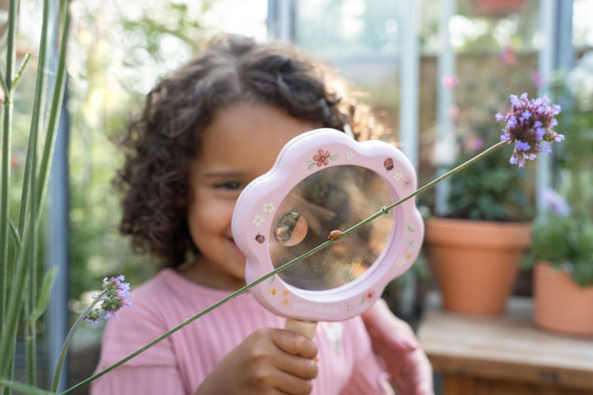 Lupa Fairy Garden, Magnifying Glass, LD9100