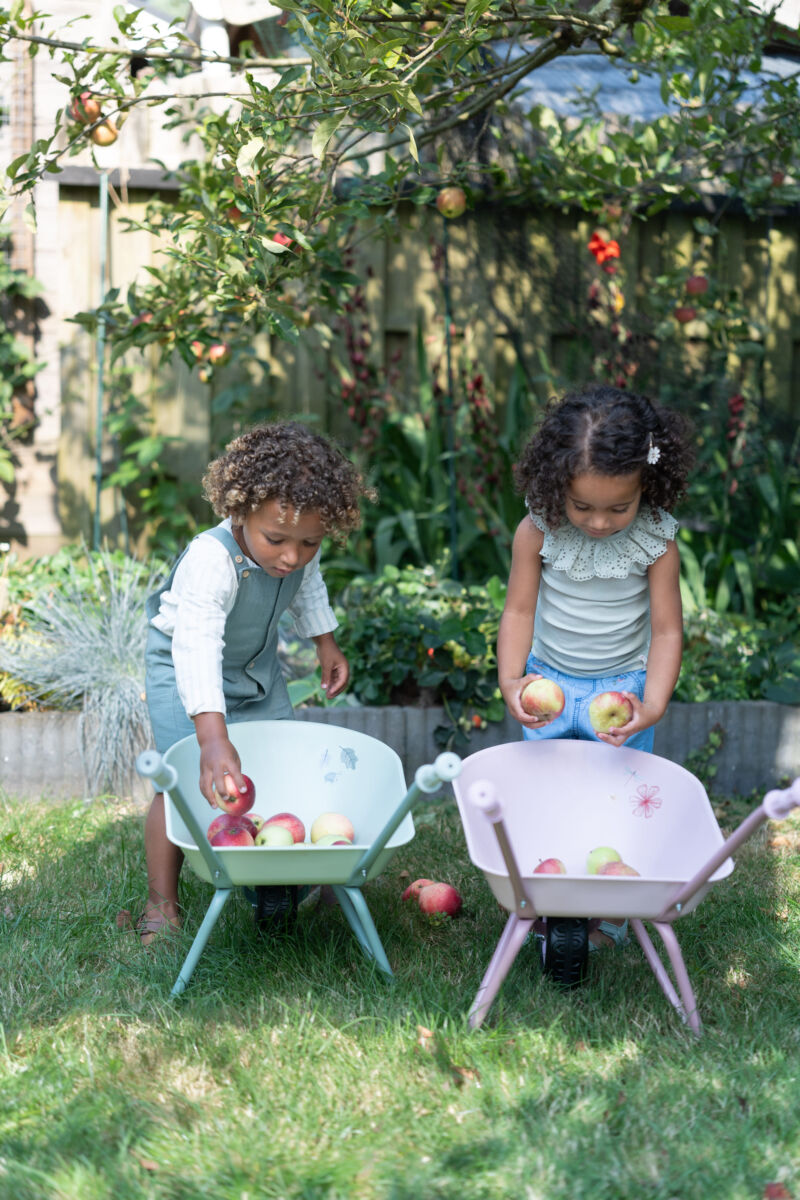 Bērnu ķerra Fairy Garden, Wheelbarrow, Little Dutch, LD9124