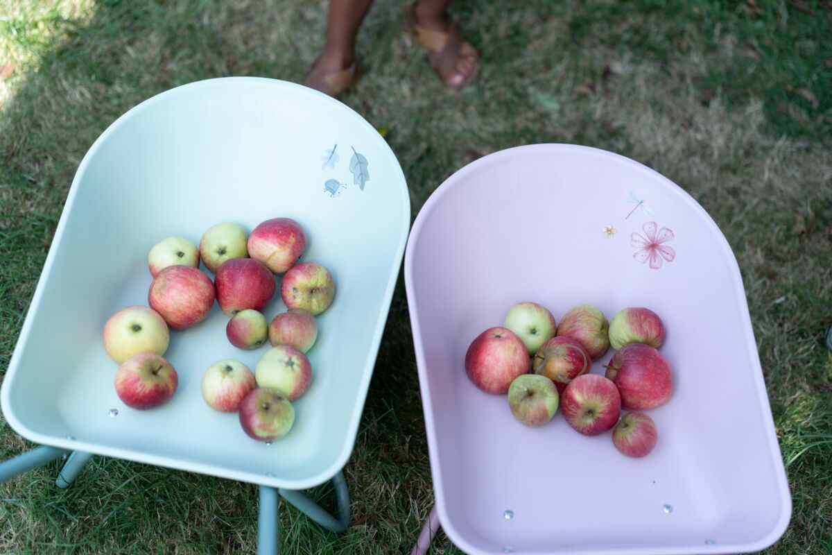 Bērnu ķerra Forest Friends, Wheelbarrow, Little Dutch, LD9125