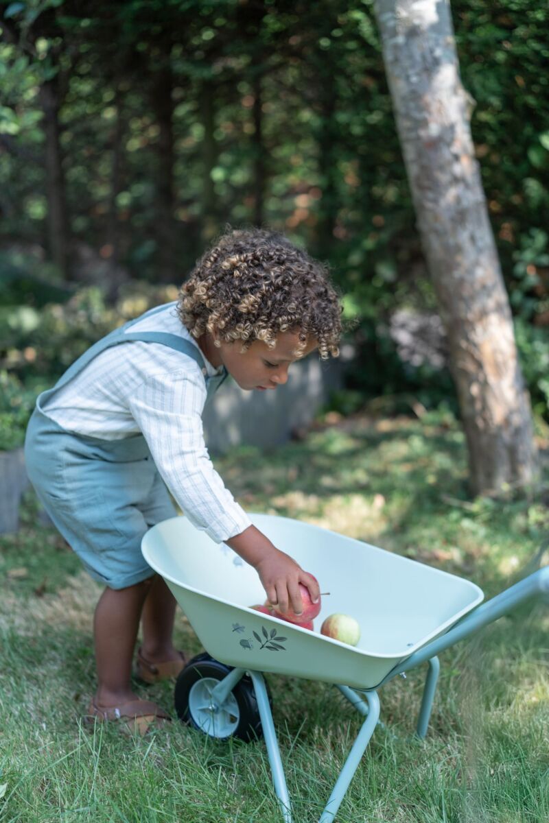 Bērnu ķerra Forest Friends, Wheelbarrow, Little Dutch, LD9125