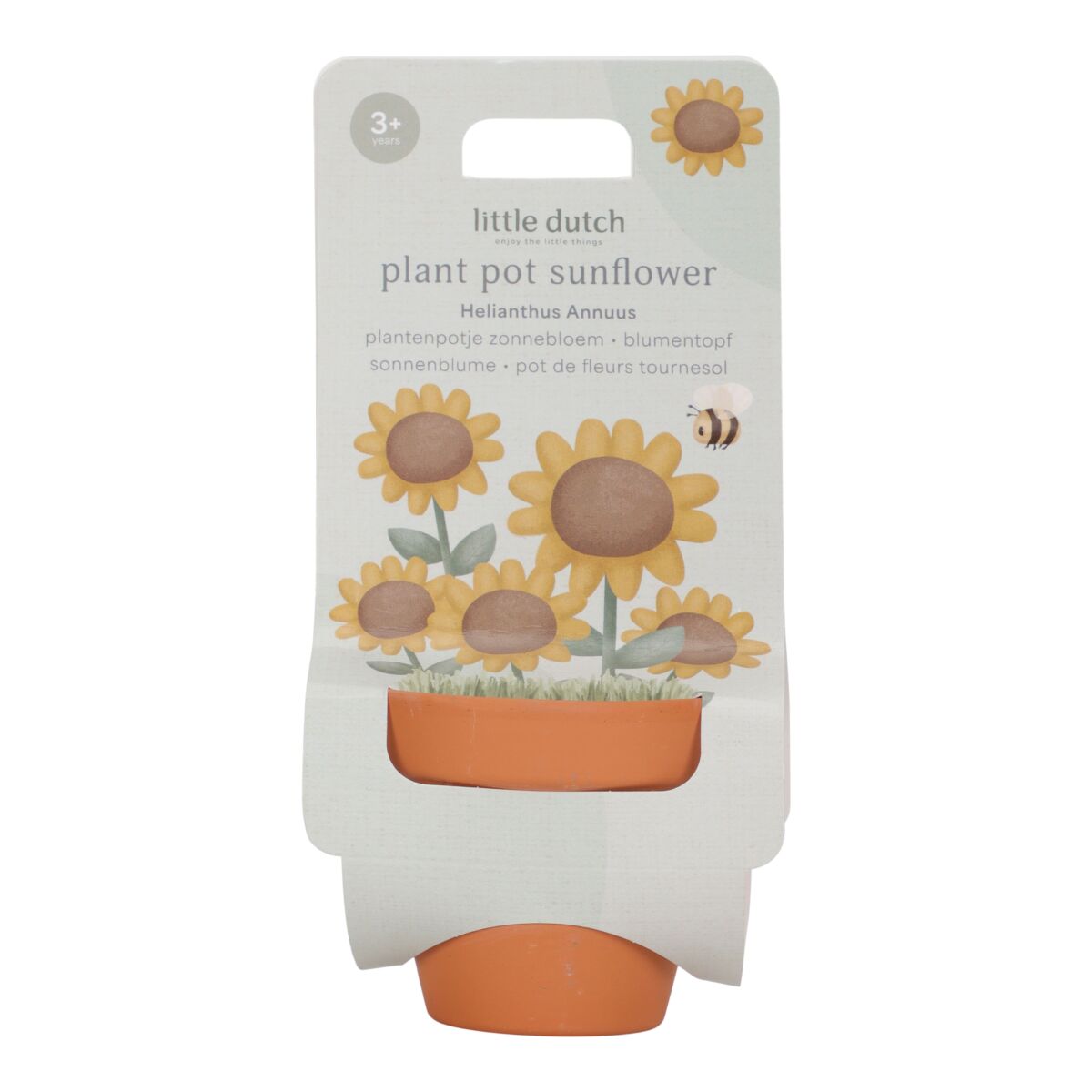 Augu podiņš ar saulespuķu sēklām, Plant Pot Sunflower,  Little Dutch, LD9130