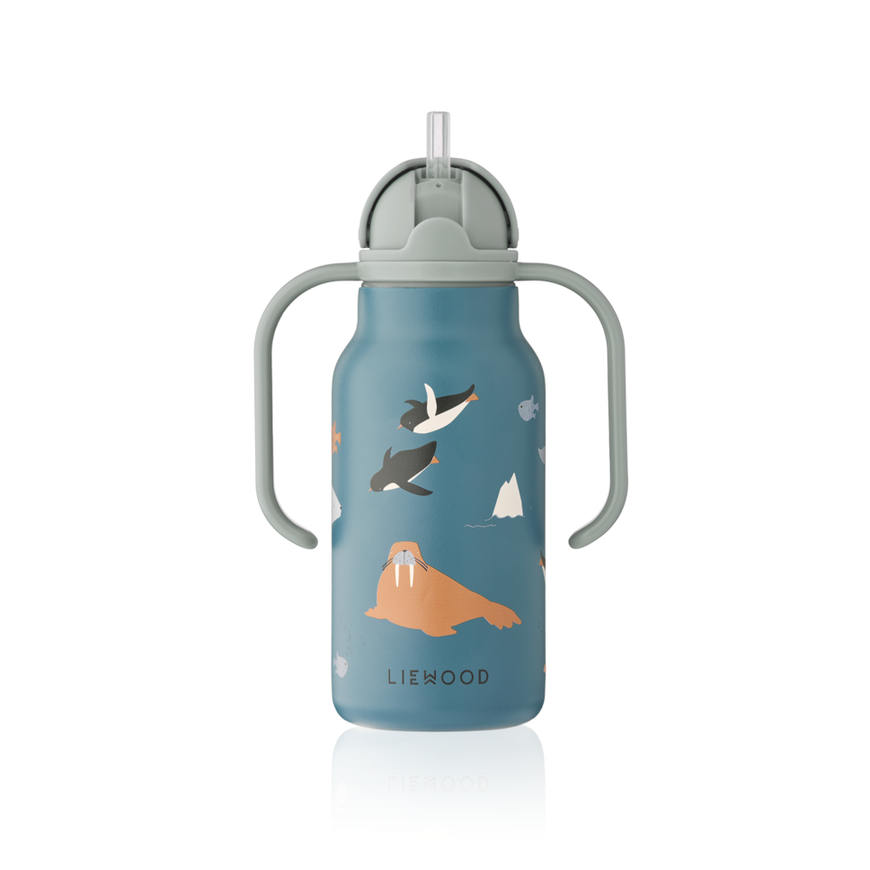 Bērnu ūdens pudele Kimmie, Arctic Sea / Ocean View Water Bottle, 250ml, Liewood, LW19618-2501