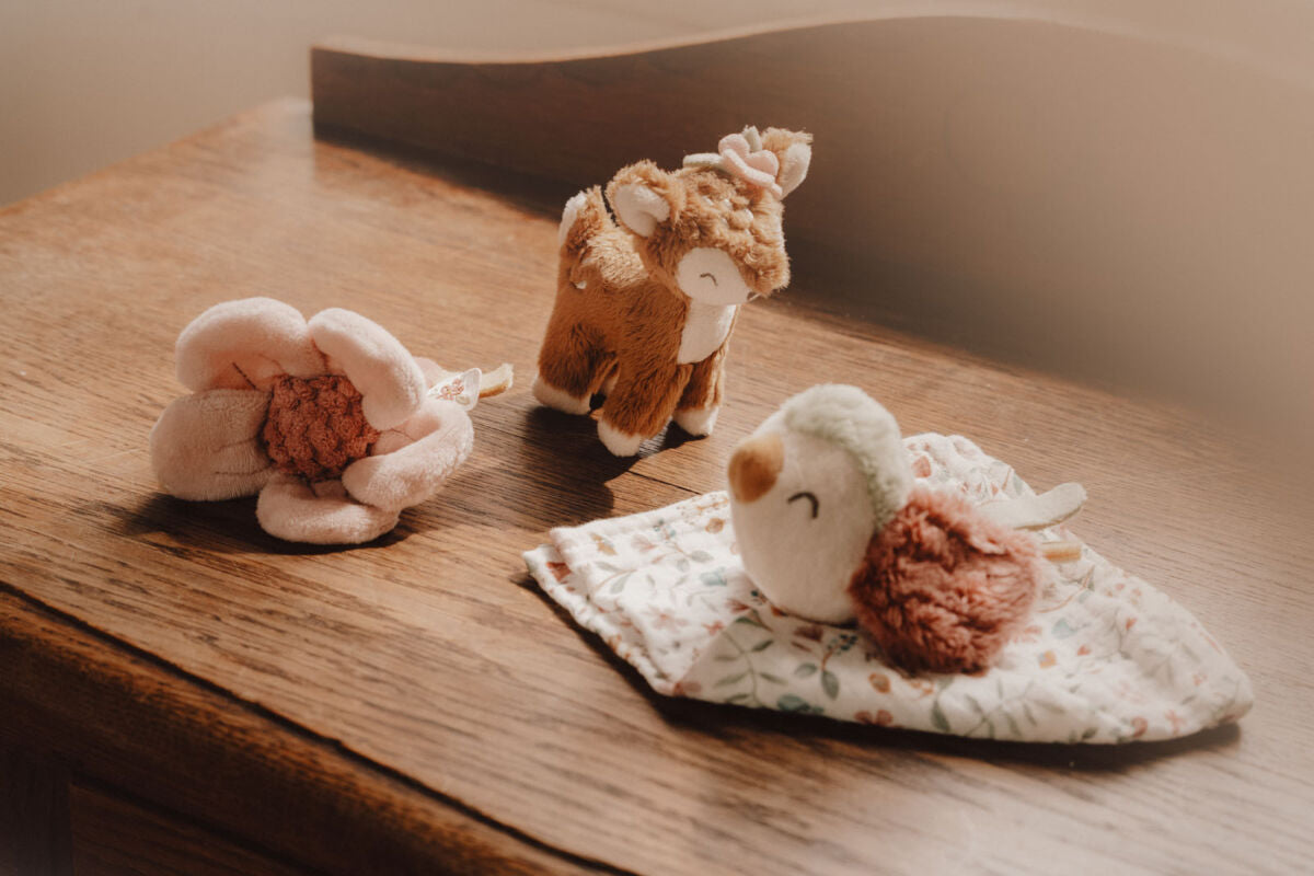 Raudzību dāvanu komplekts jaundzimušajam, Giftbox Fairy Garden, Little Dutch, LD9015