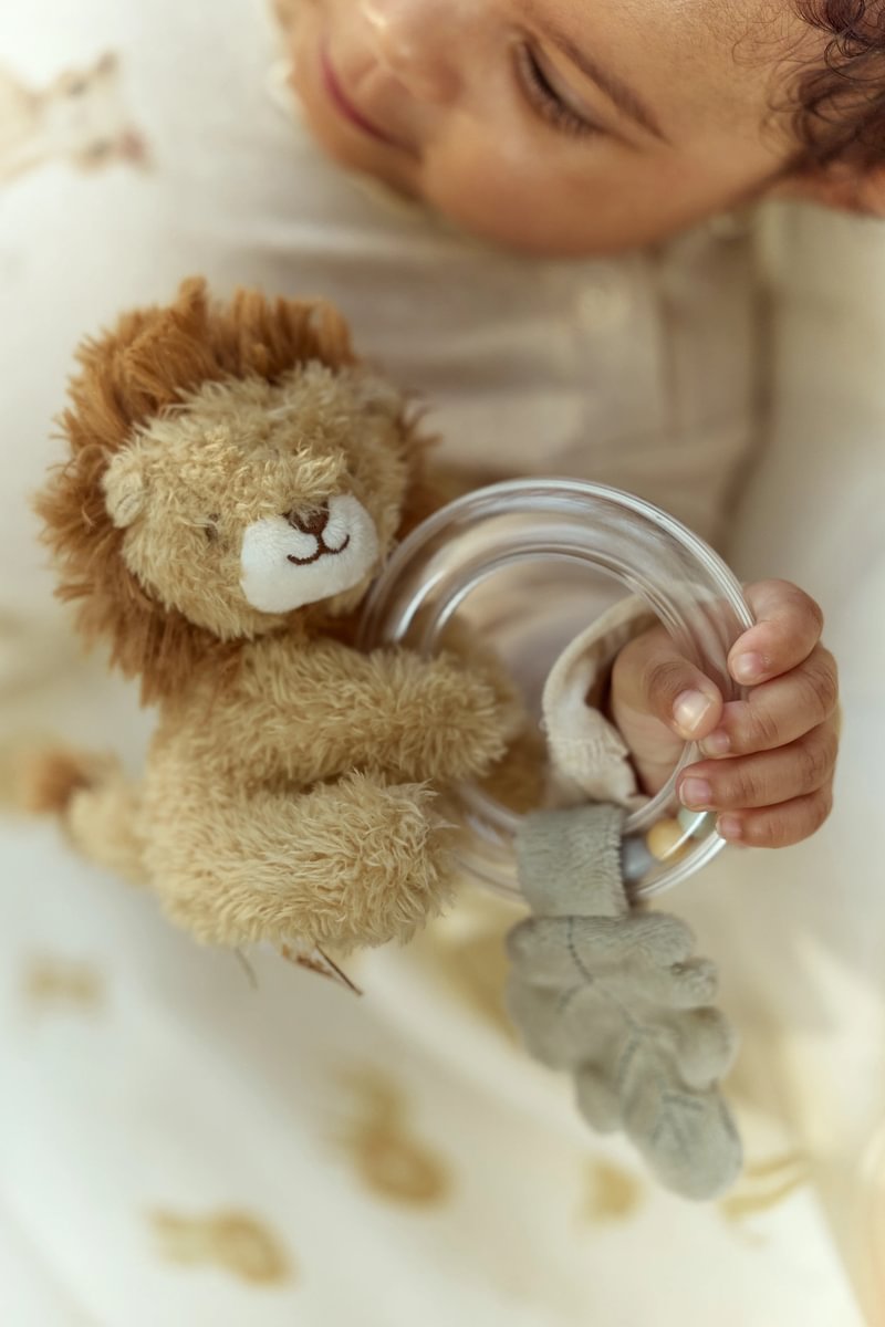 Graužamais grabulis Lauva - Lion, Safari Friends, Ring Rattle, Little Dutch, Artikuls: 8314