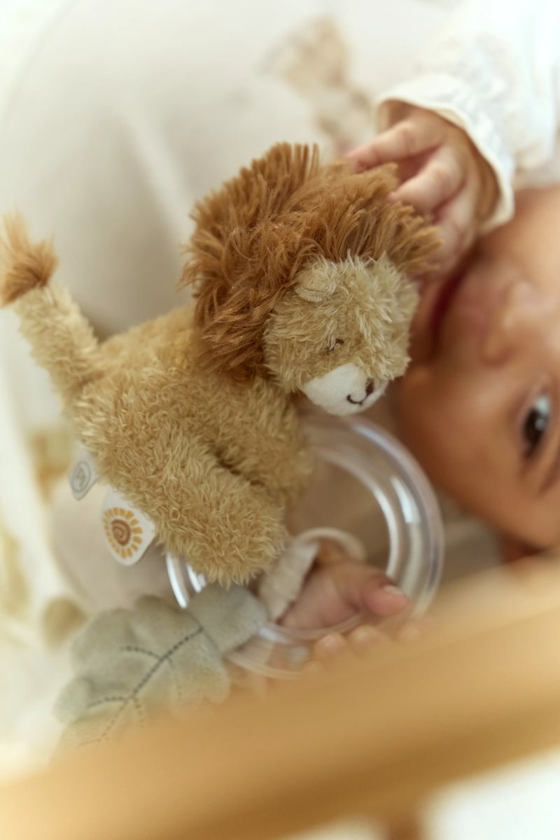 Graužamais grabulis Lauva - Lion, Safari Friends, Ring Rattle, Little Dutch, Artikuls: 8314