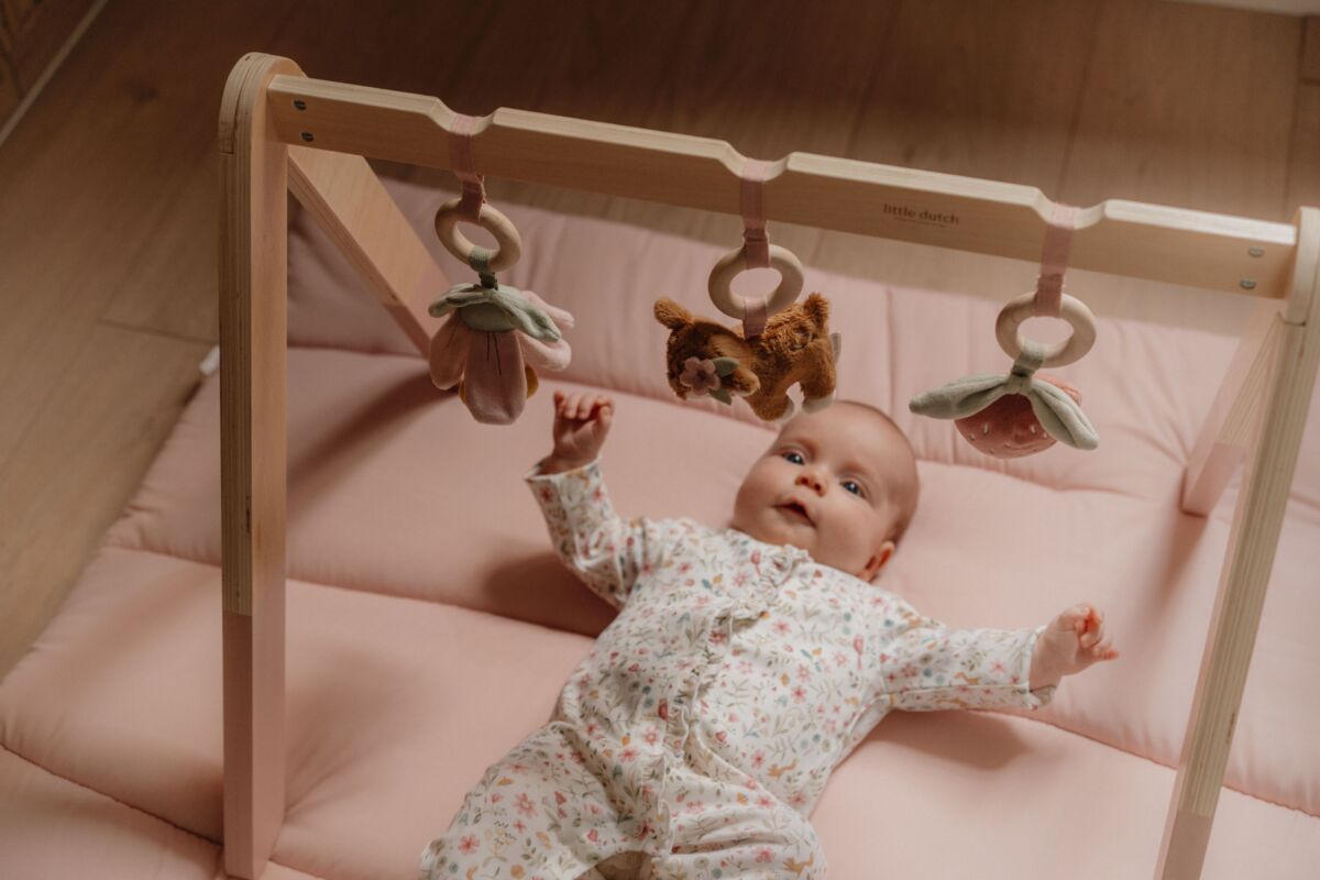 Aktivitāšu statīvs, Baby Gym Fairy Garden, Little Dutch, LD9010